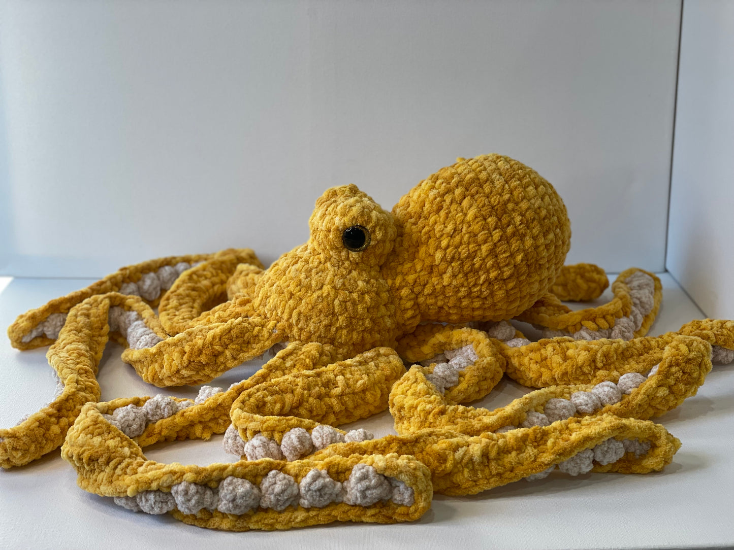 Large Anchor Octopus