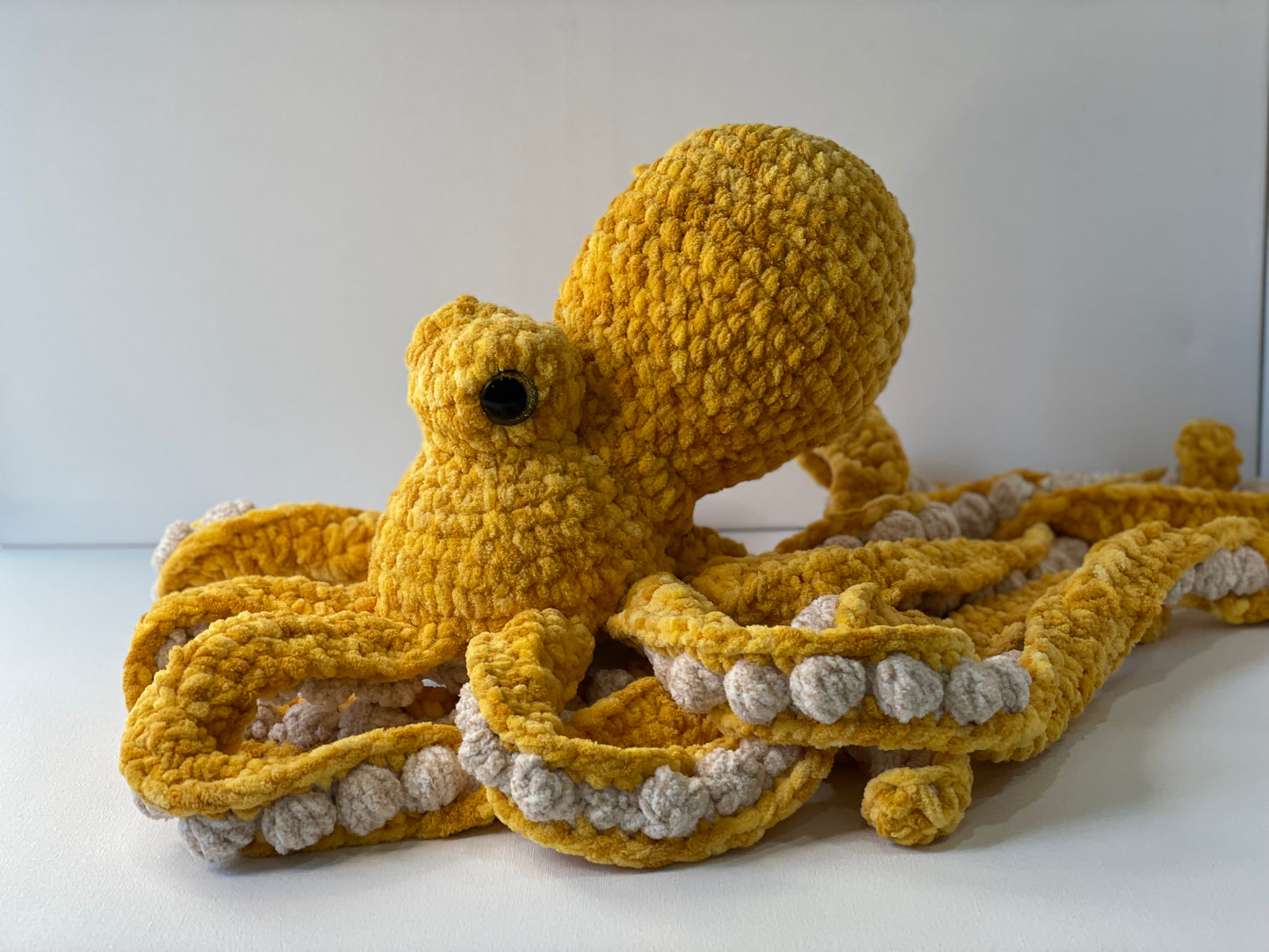 Large Anchor Octopus