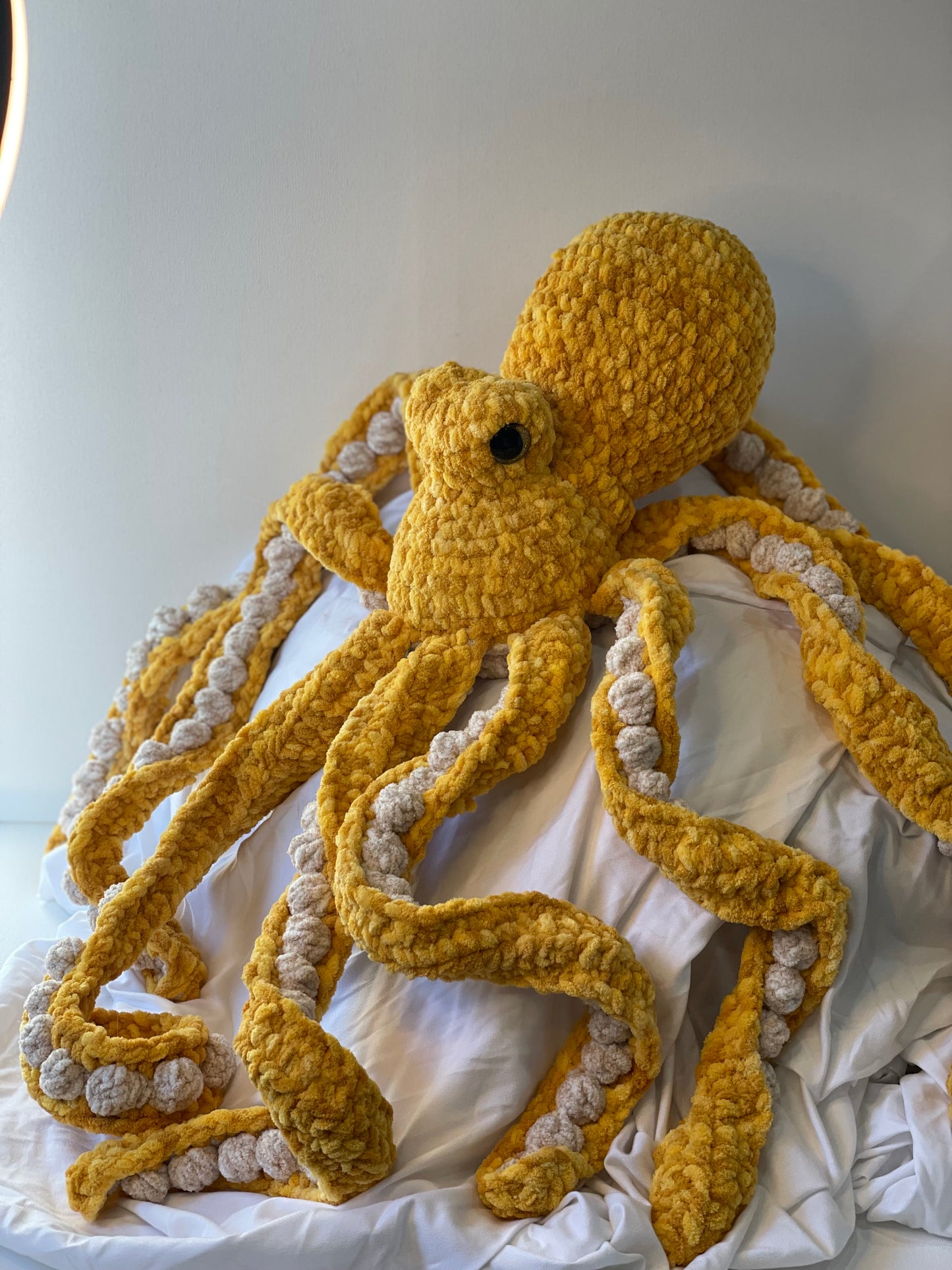 Large Anchor Octopus