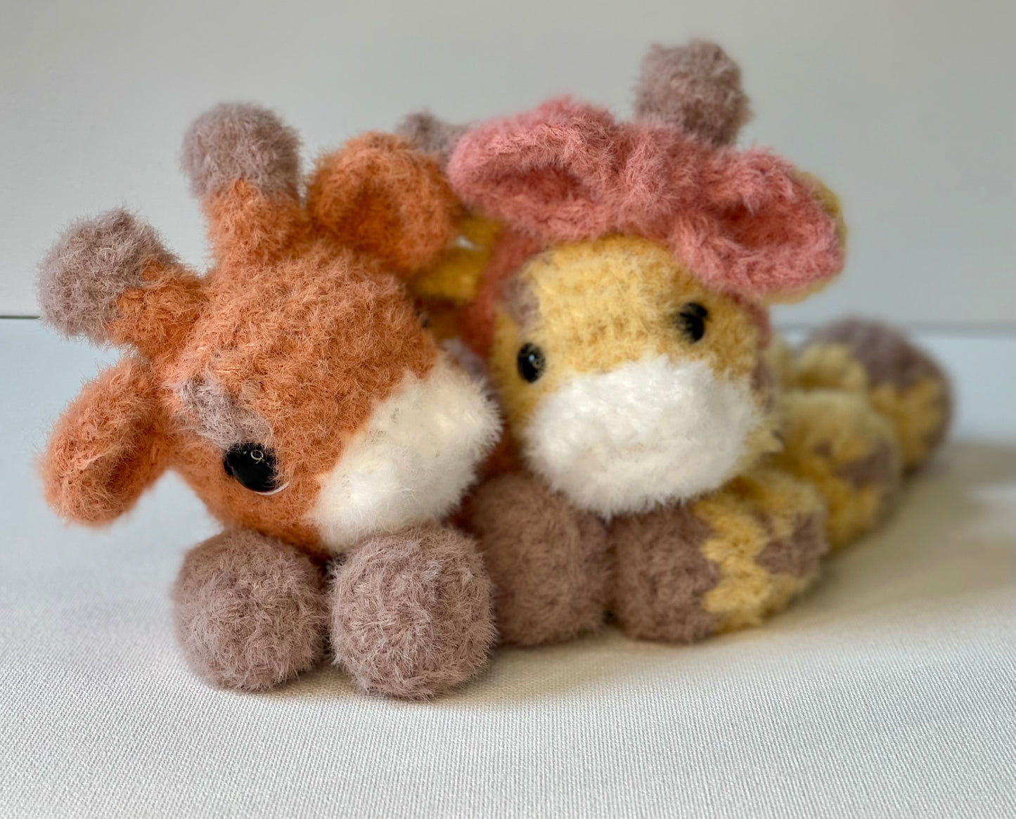 JoJo the Baby Giraffe