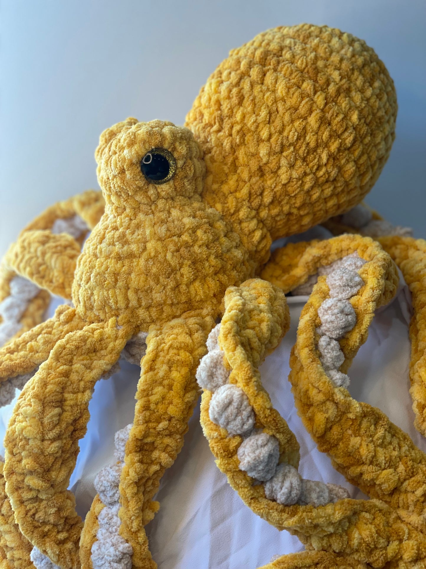 Large Anchor Octopus