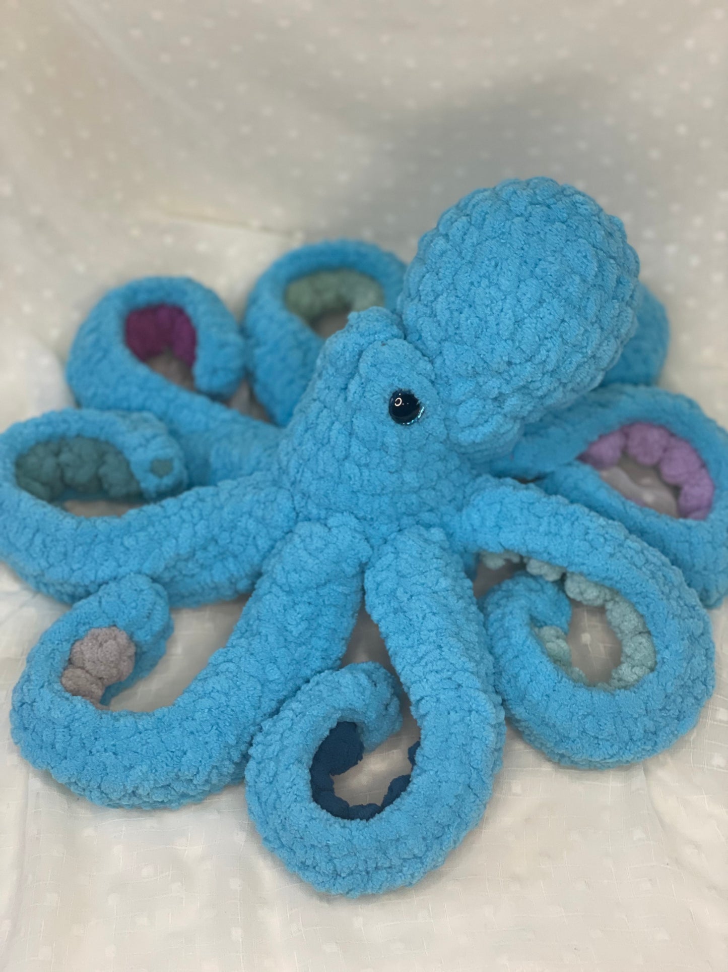 Olivia the baby octopus