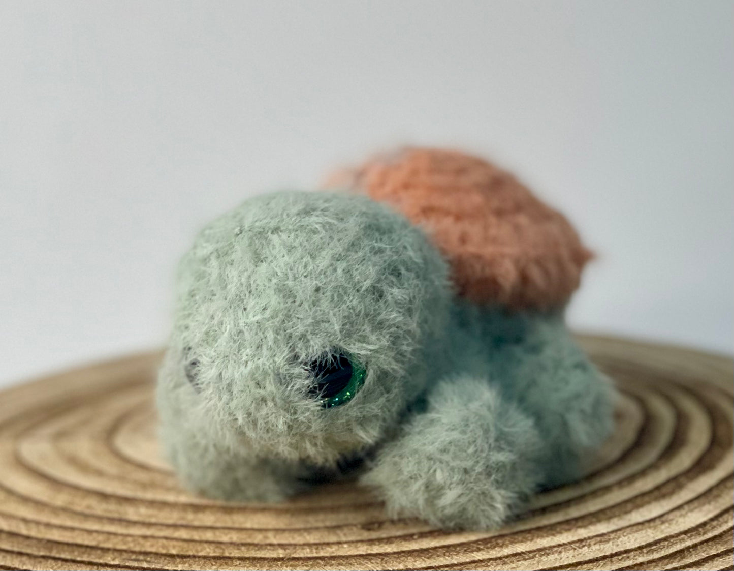 Theo the tiny turtle