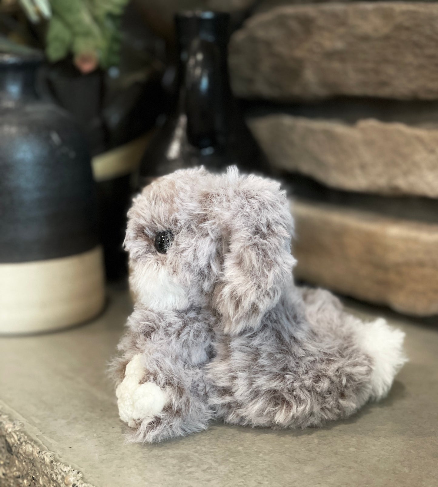 Frankie the furry bunny