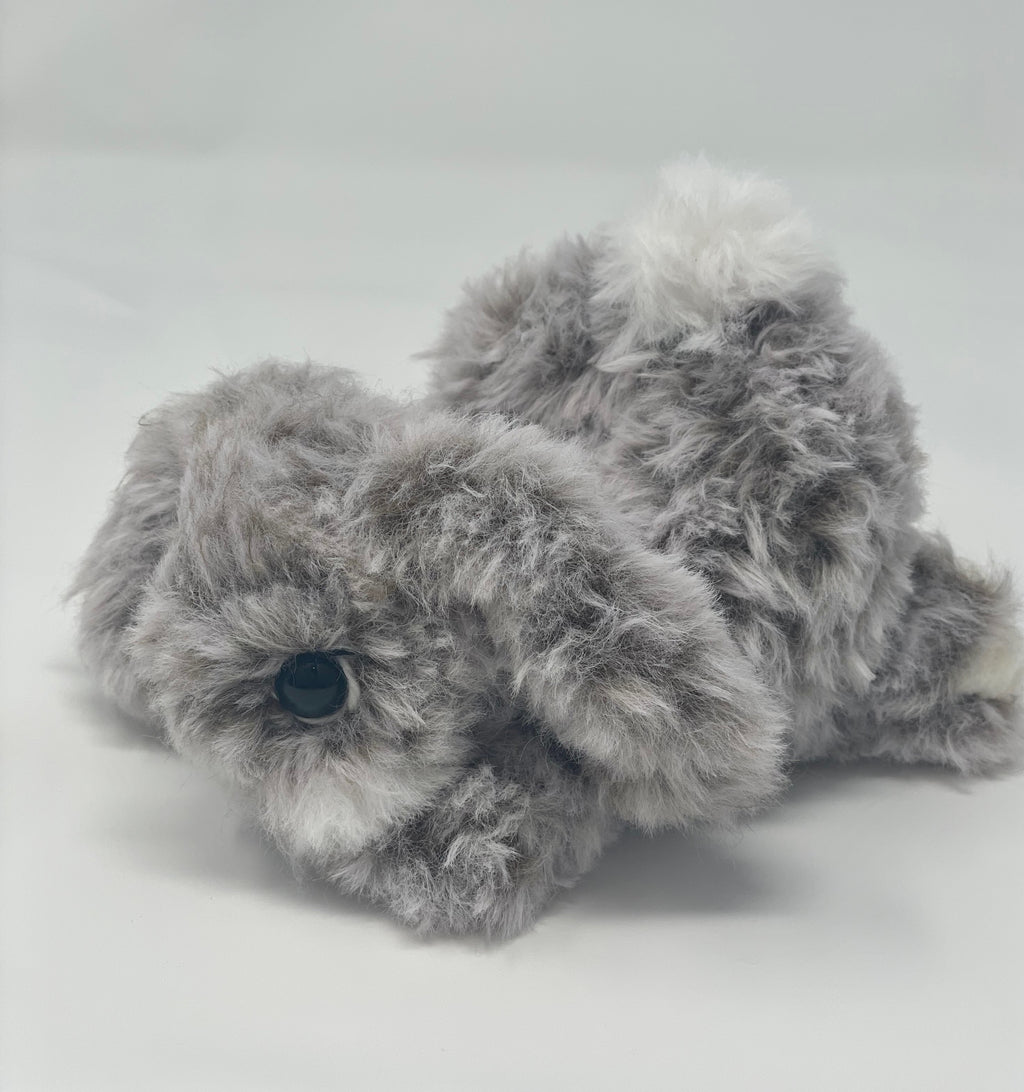 Frankie the furry bunny