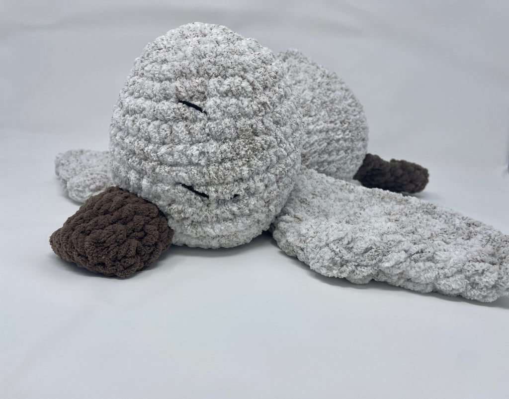 Ollie the Sleepy duckling