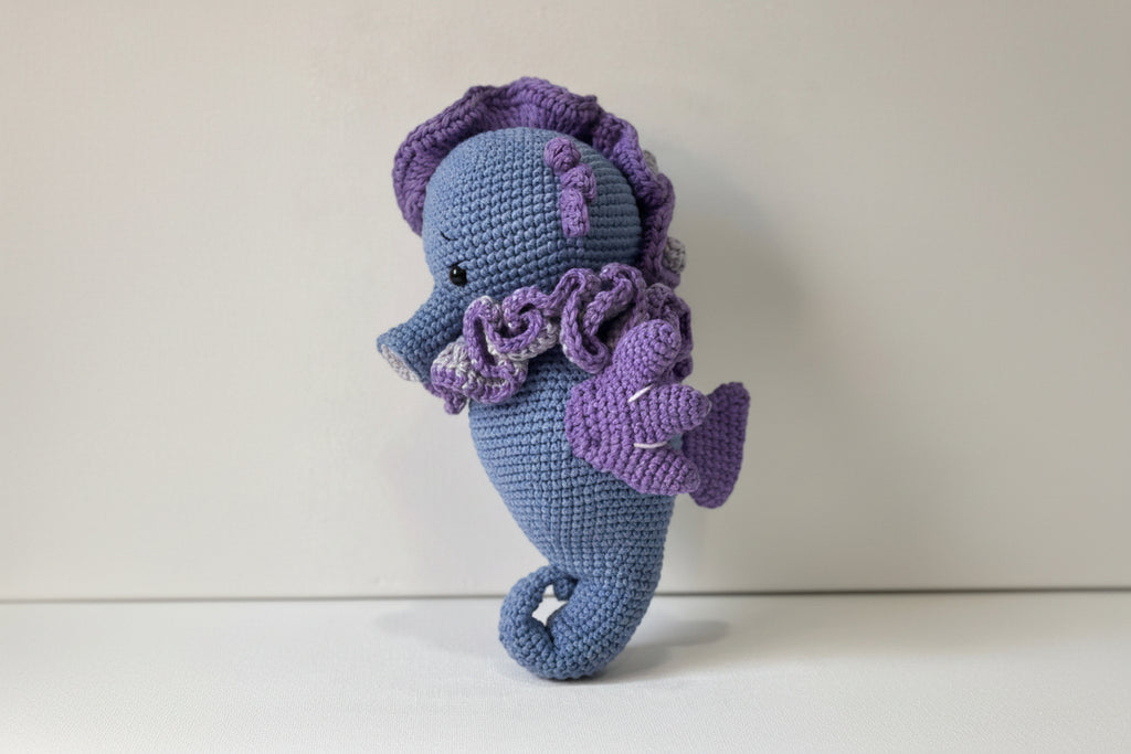 Blueberry the Seahorse