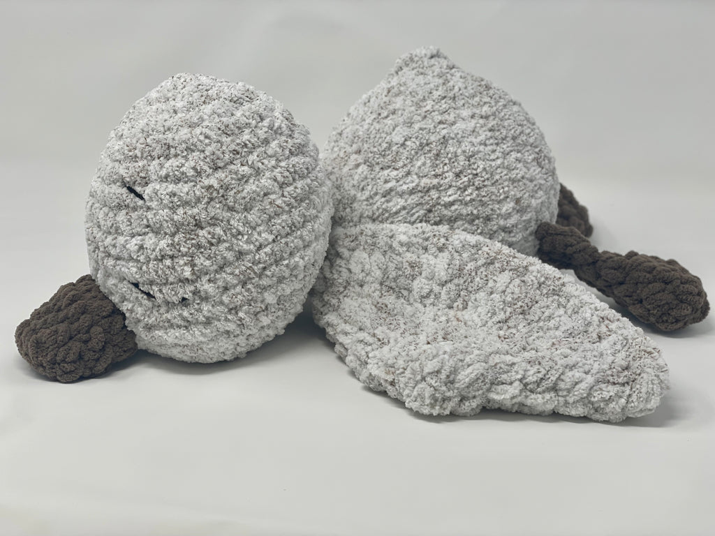 Ollie the Sleepy duckling