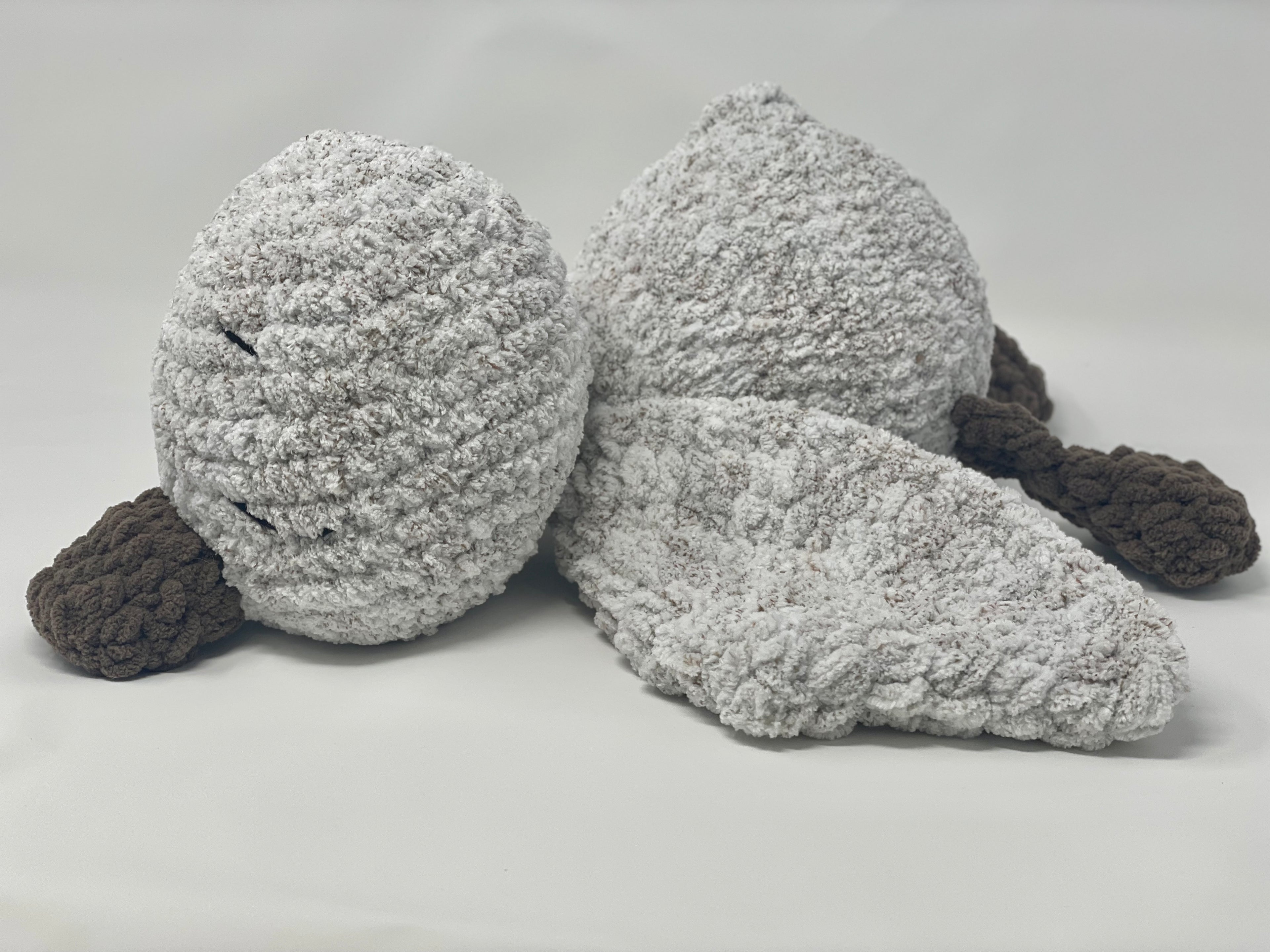 Ollie the Sleepy duckling