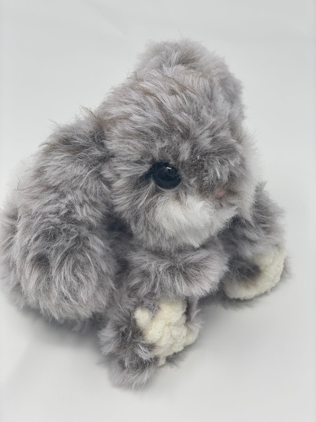 Frankie the furry bunny