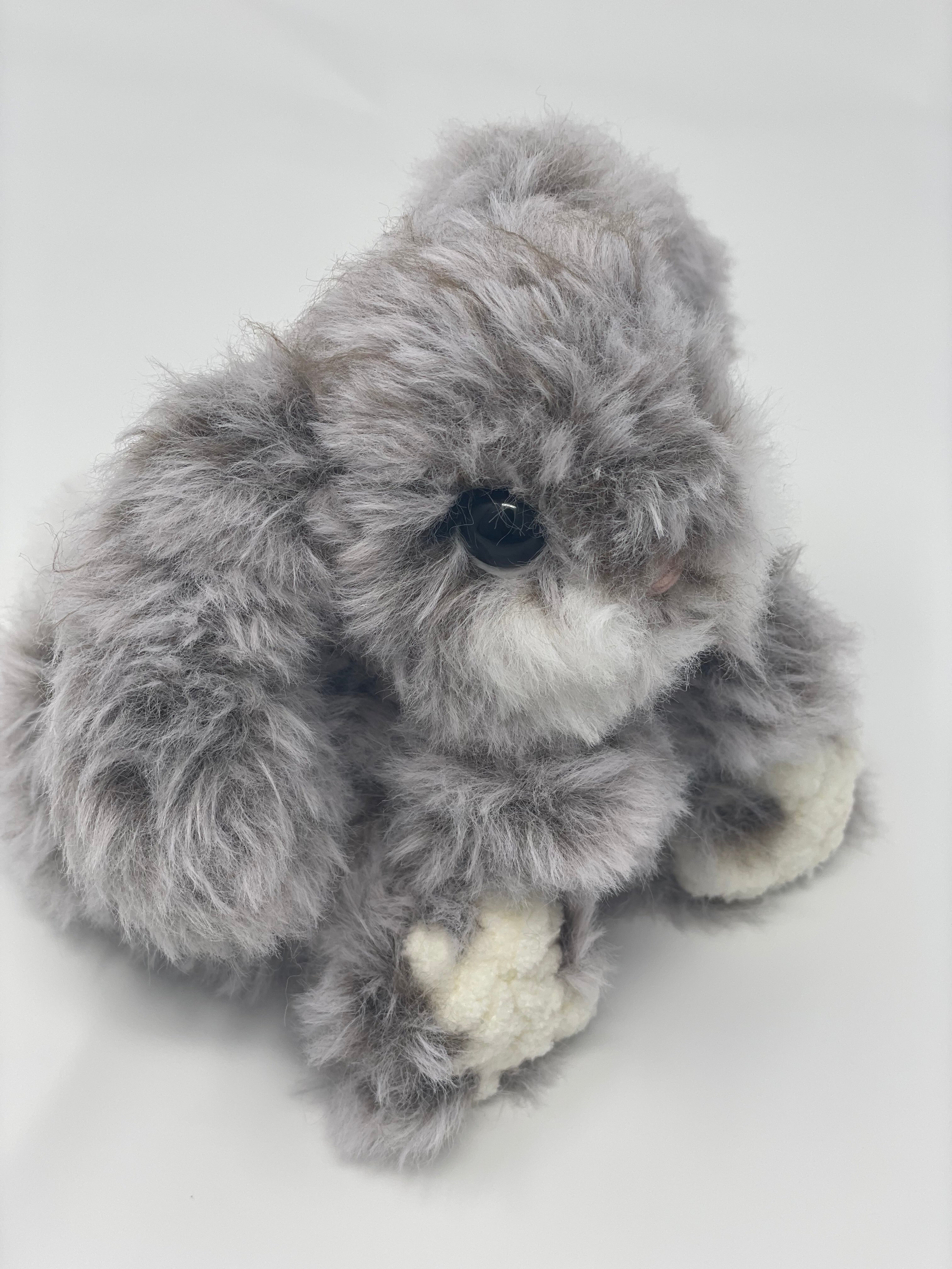 Frankie the furry bunny