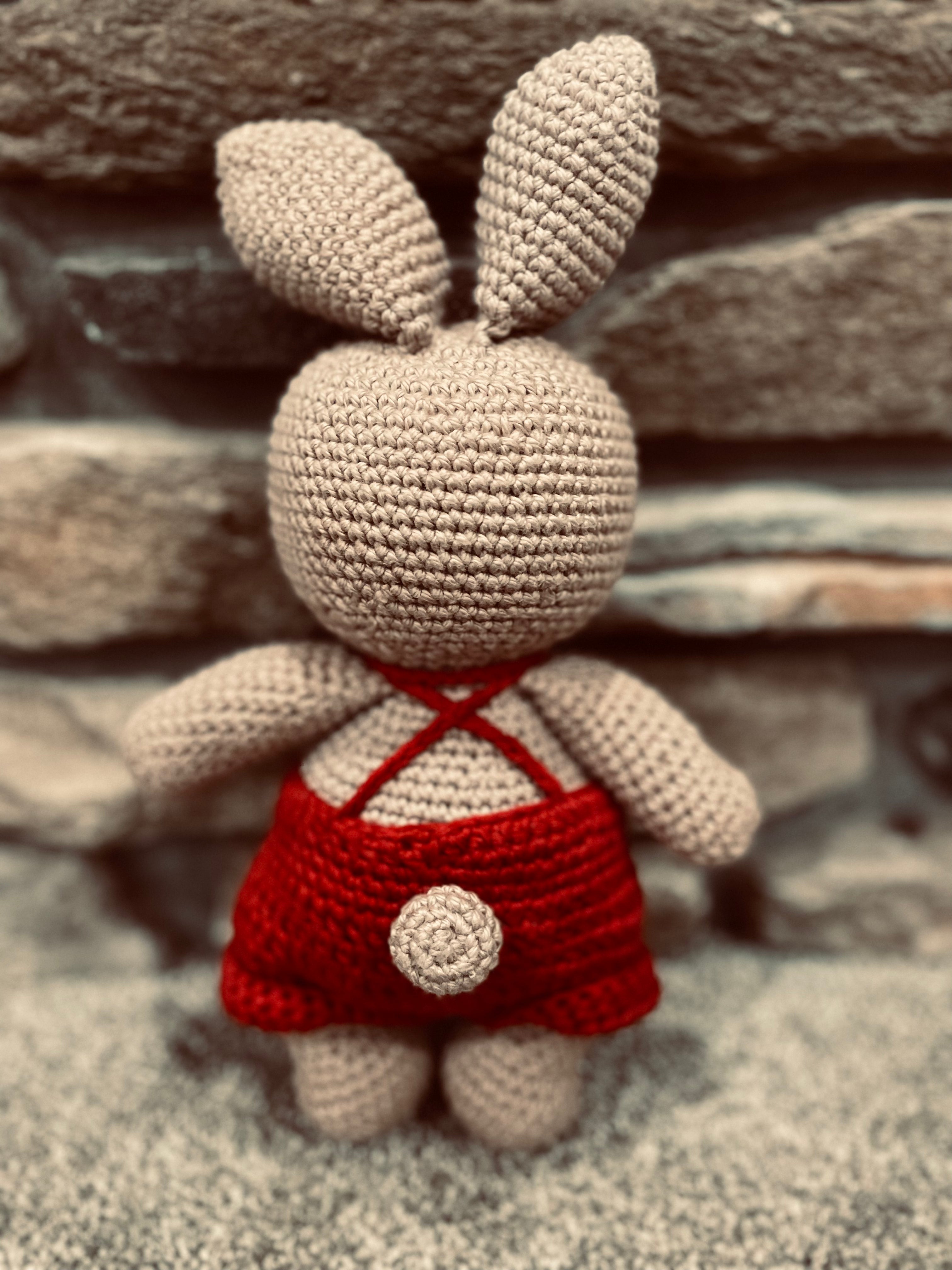 Bobby the Bunny