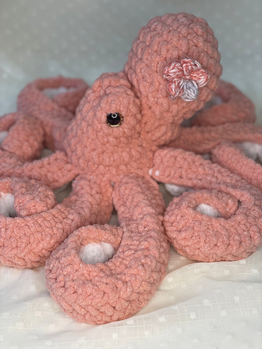 Olivia the baby octopus