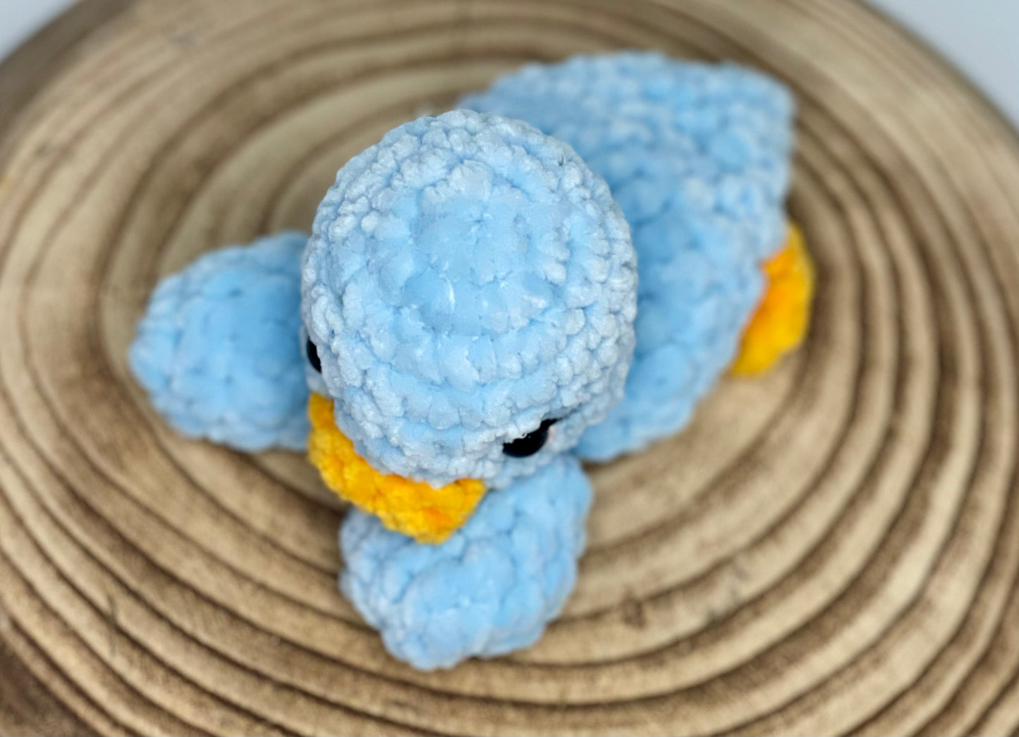 Baby Blue duckling