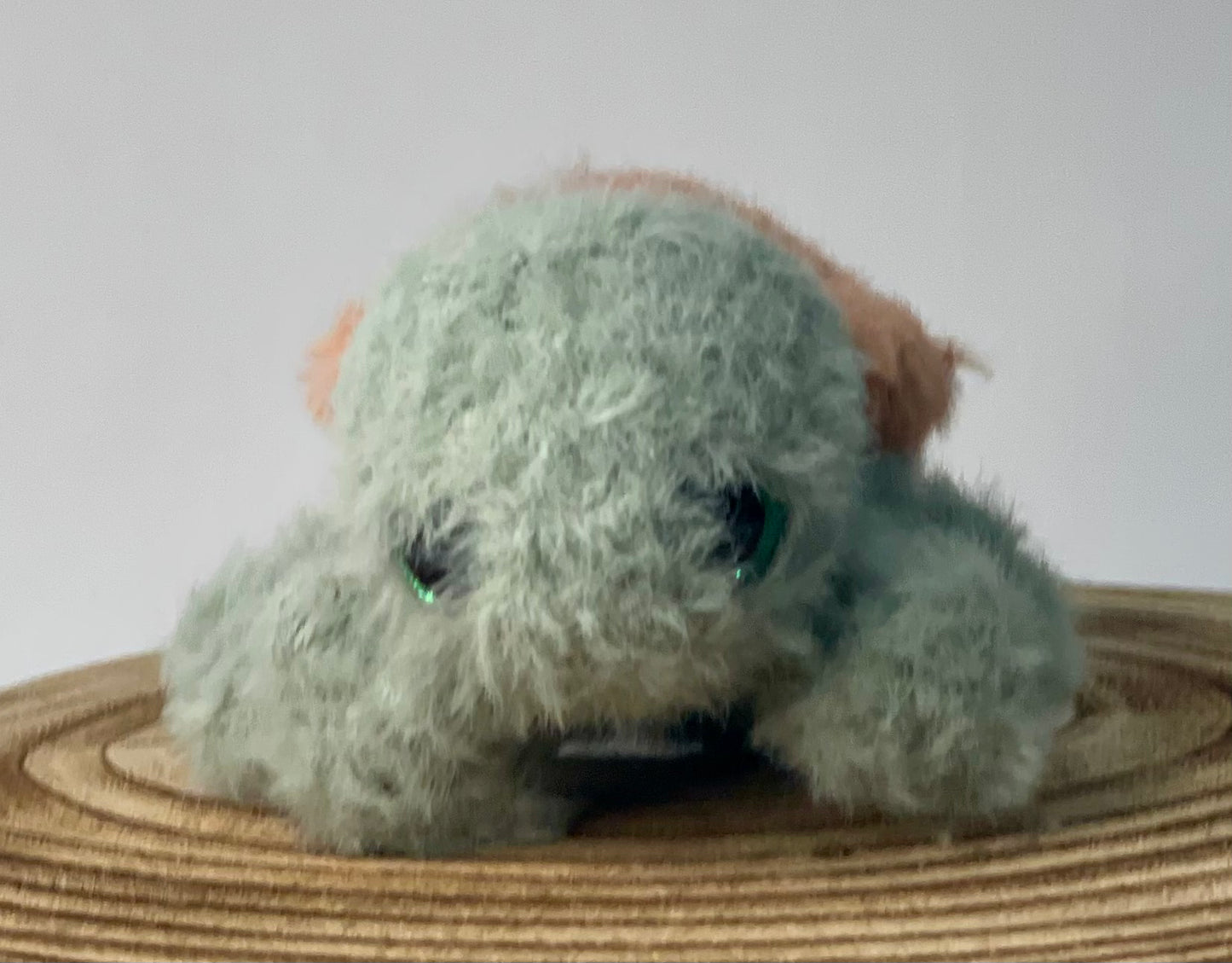 Theo the tiny turtle