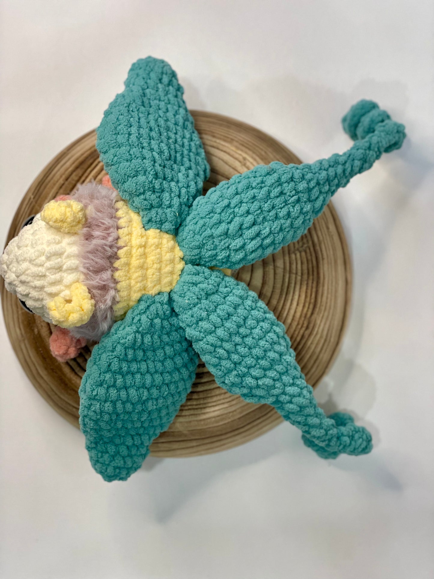 Gardenia the Luna moth