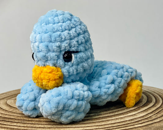 Baby Blue duckling