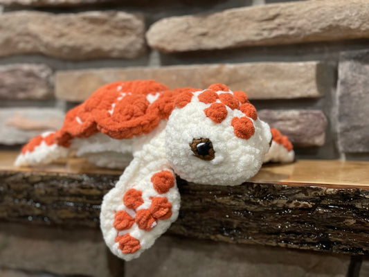 Ginger the Sea Turtle