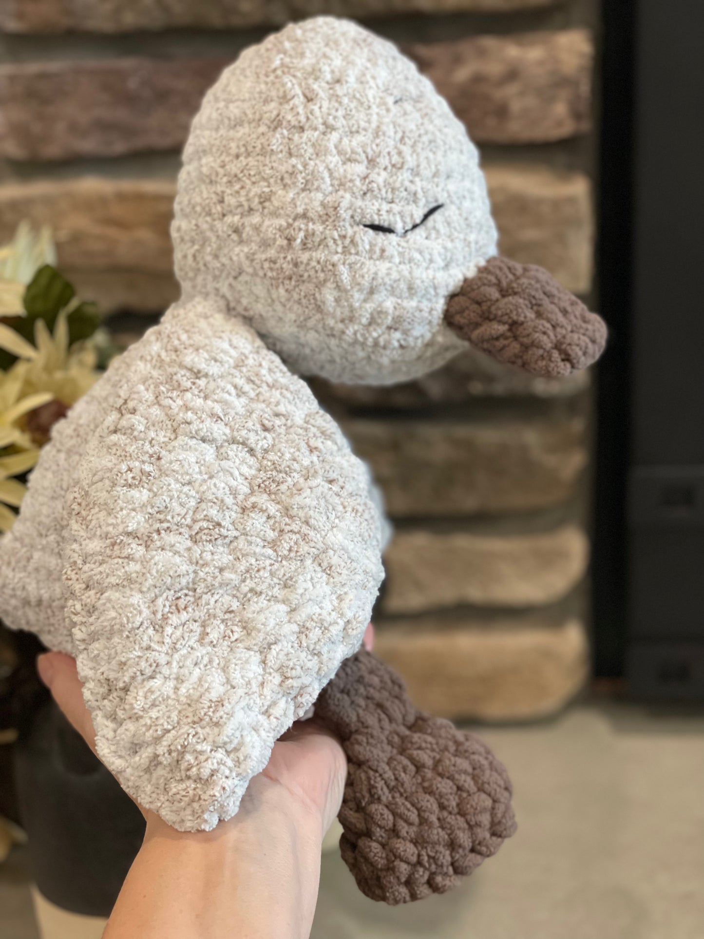 Ollie the Sleepy duckling