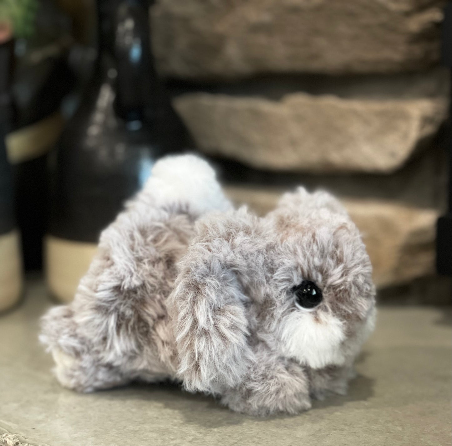 Frankie the furry bunny