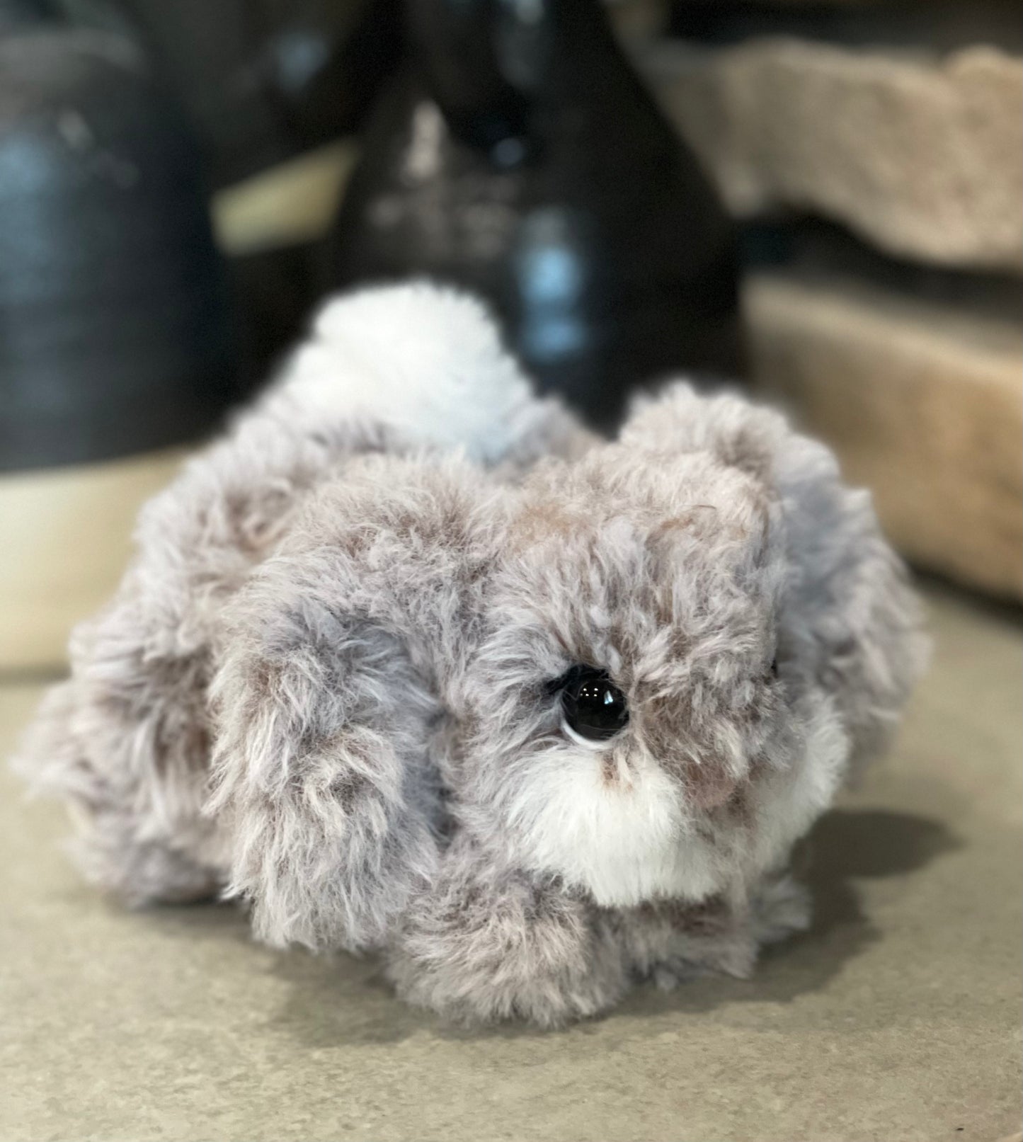 Frankie the furry bunny