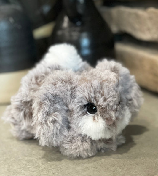 Frankie the furry bunny
