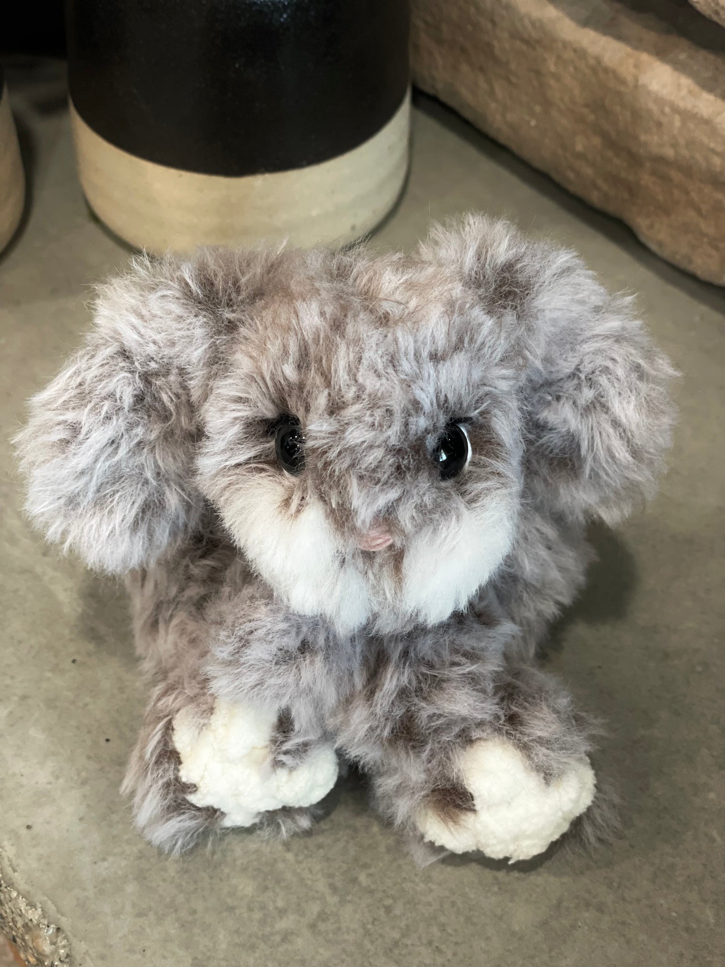 Frankie the furry bunny