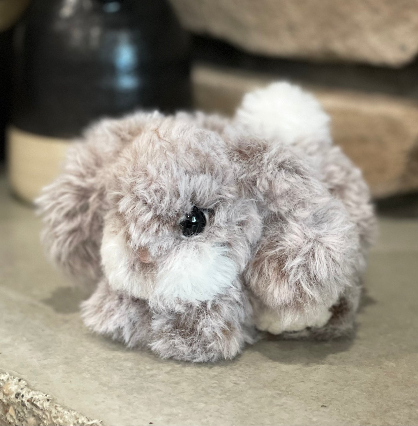 Frankie the furry bunny