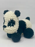 Pi the Panda