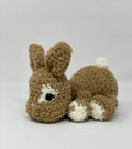 Boomer the bunny