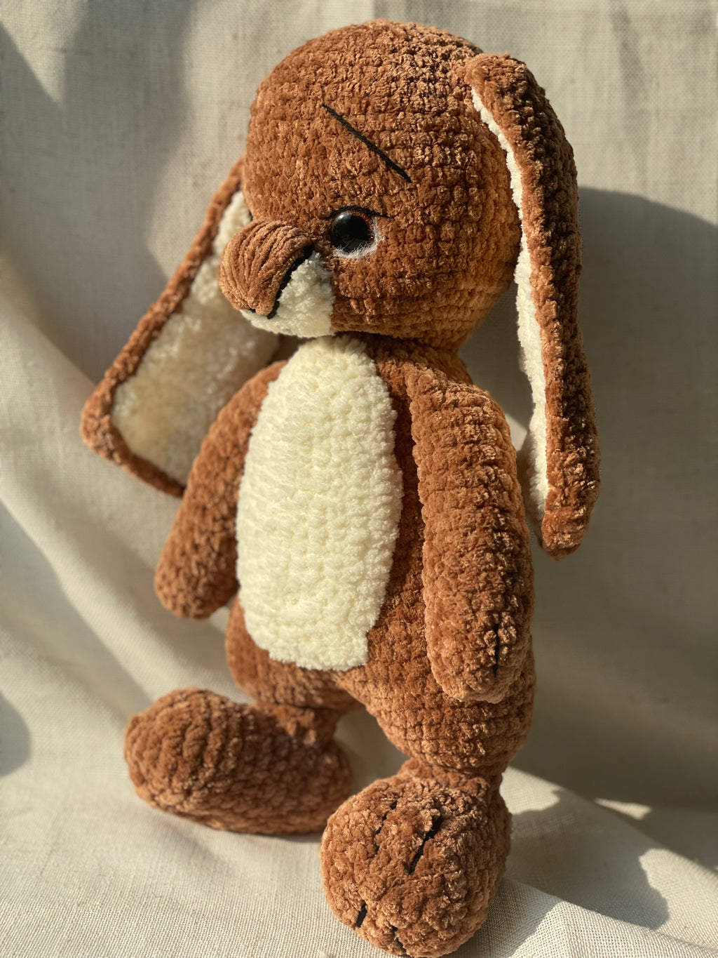 Mr. Rabbit