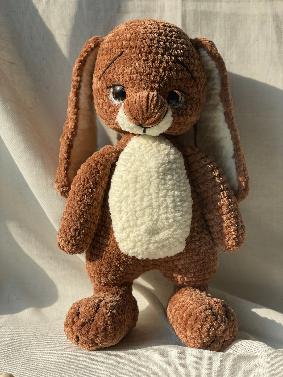 Mr. Rabbit
