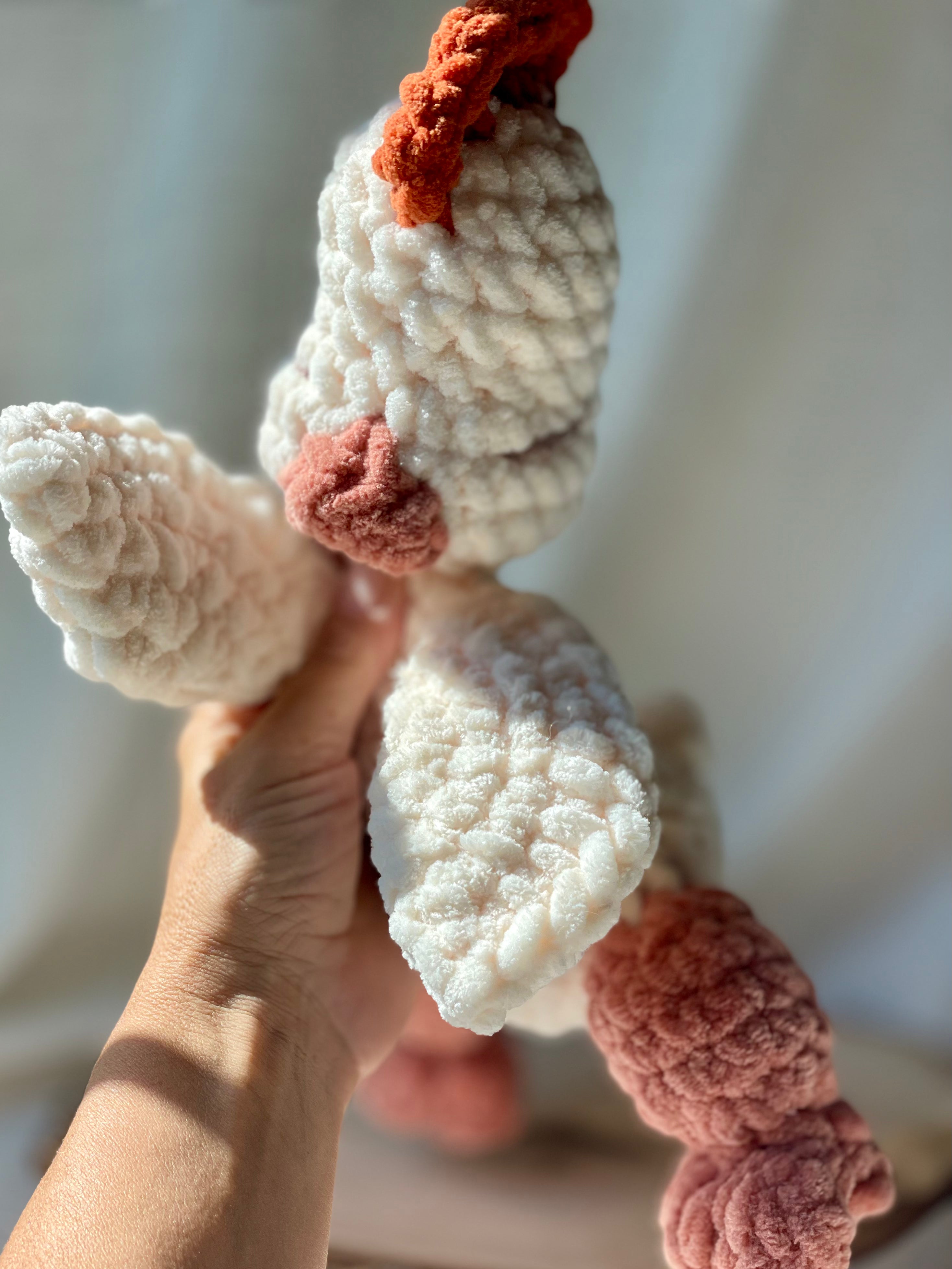 Coco the chickie