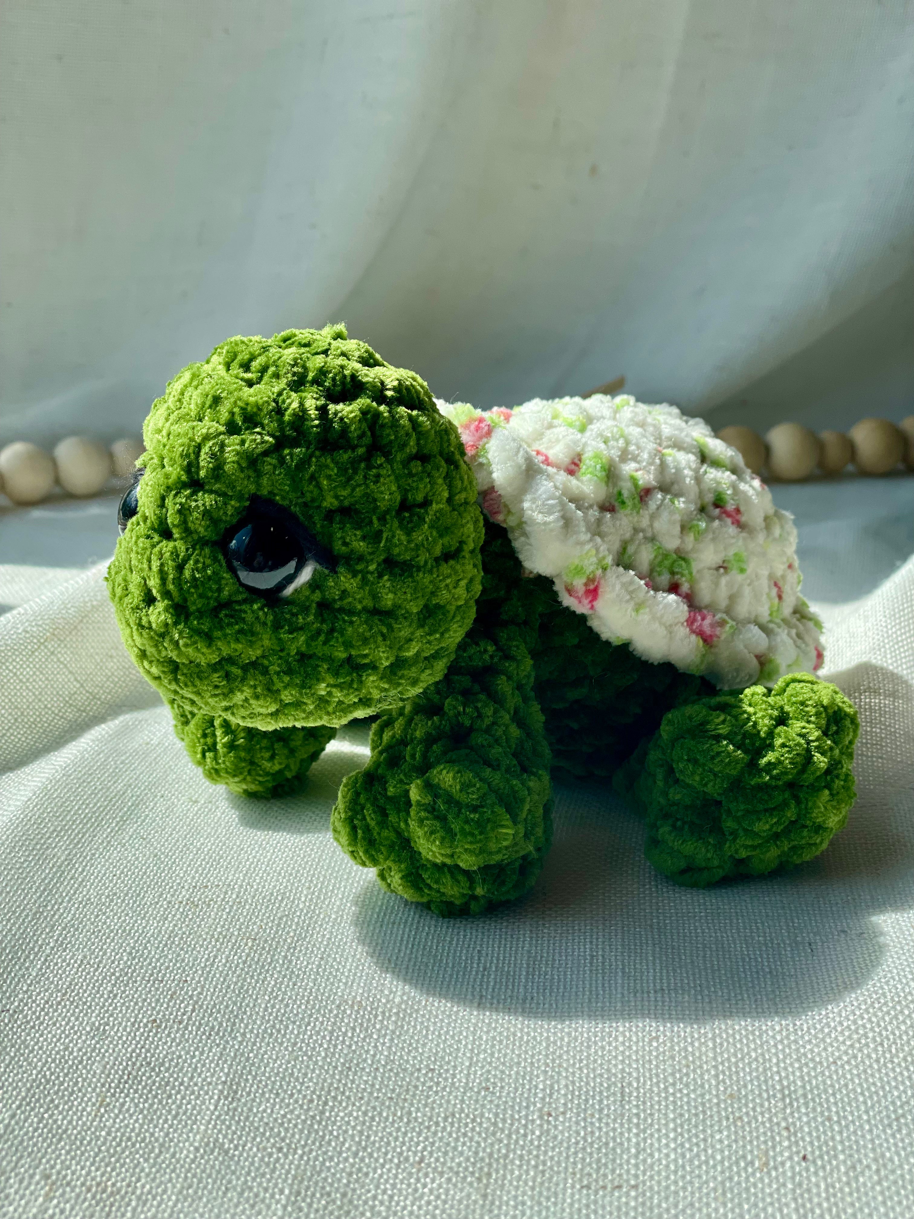Rosie the tiny turtle
