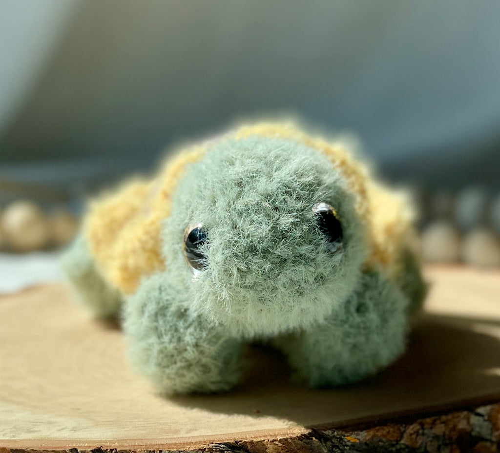Sunflower turtle friend