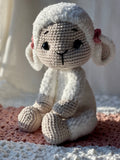 Sweet Baby Lamb
