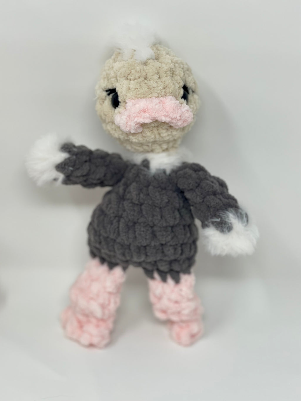 Ollie the baby Ostrich