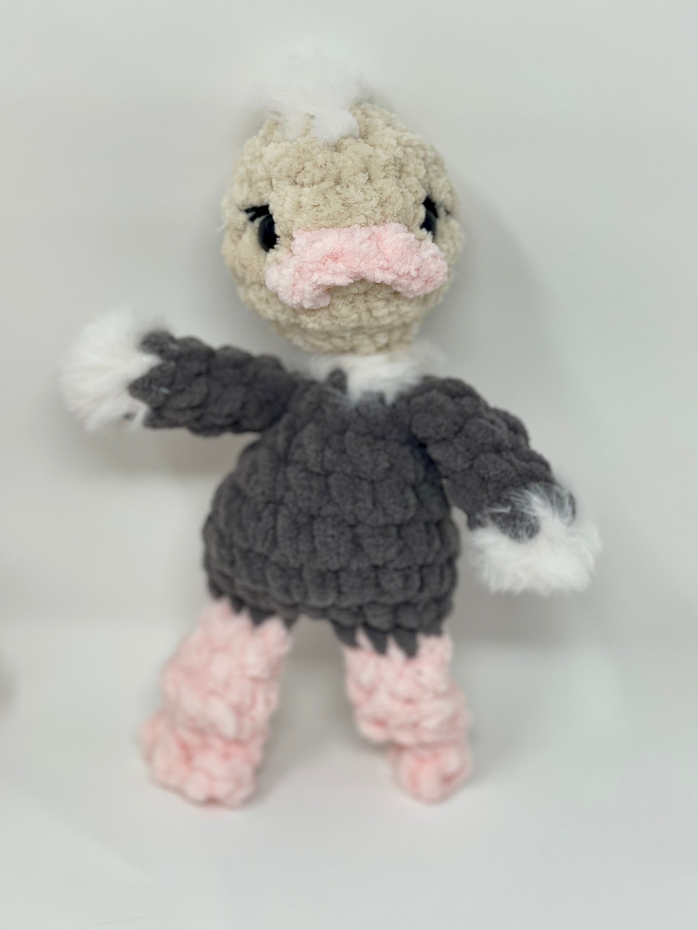 Ollie the baby Ostrich